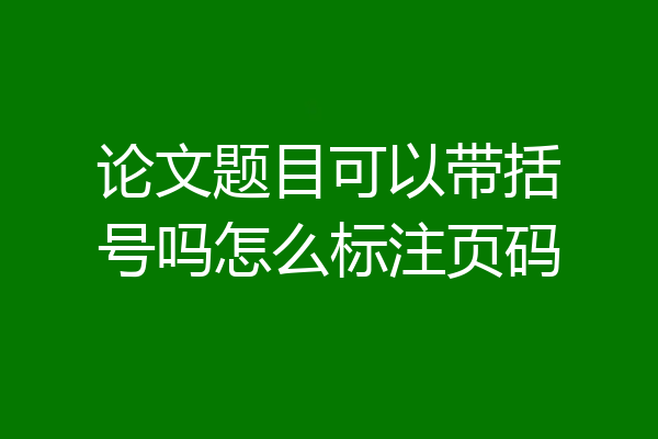 论文题目可以带括号吗怎么标注页码