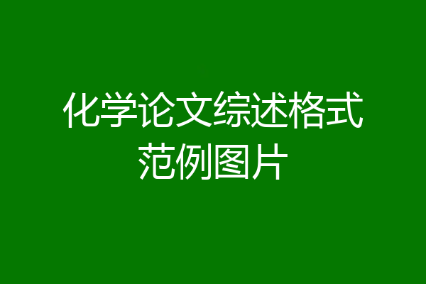 化学论文综述格式范例图片