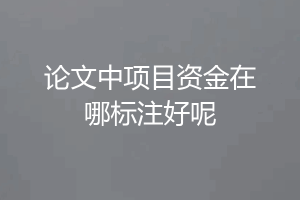 论文中项目资金在哪标注好呢