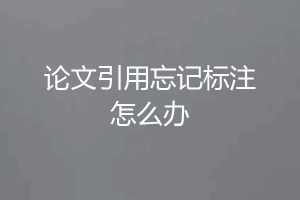 论文引用忘记标注怎么办