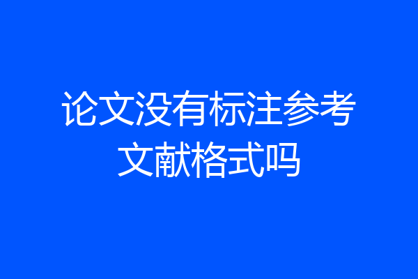 论文没有标注参考文献格式吗