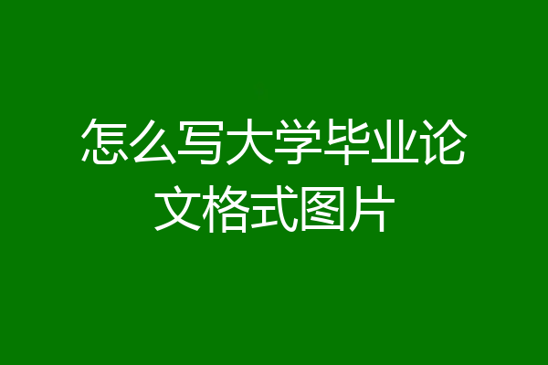 怎么写大学毕业论文格式图片