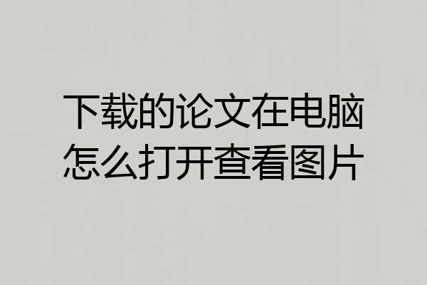 下载的论文在电脑怎么打开查看图片