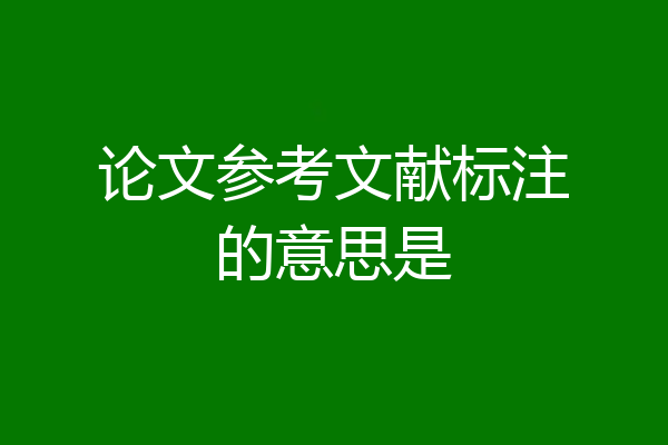 论文参考文献标注的意思是