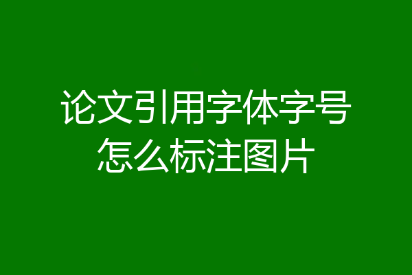 论文引用字体字号怎么标注图片