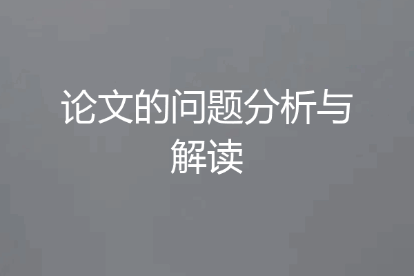 论文的问题分析与解读