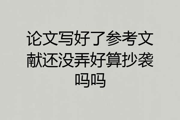 论文写好了参考文献还没弄好算抄袭吗吗