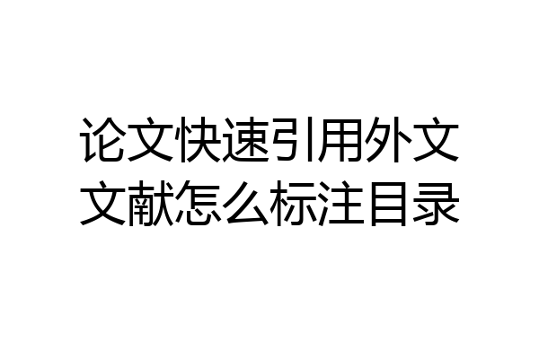 论文快速引用外文文献怎么标注目录