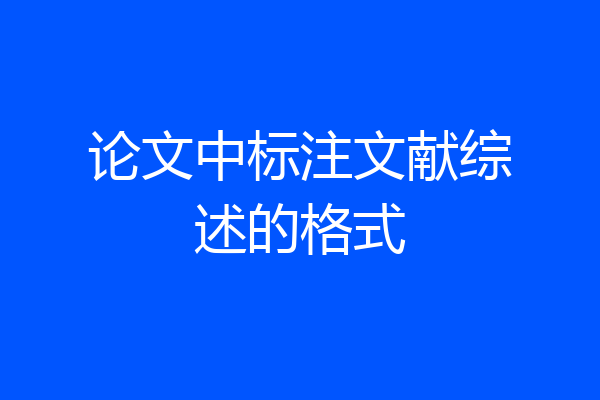 论文中标注文献综述的格式