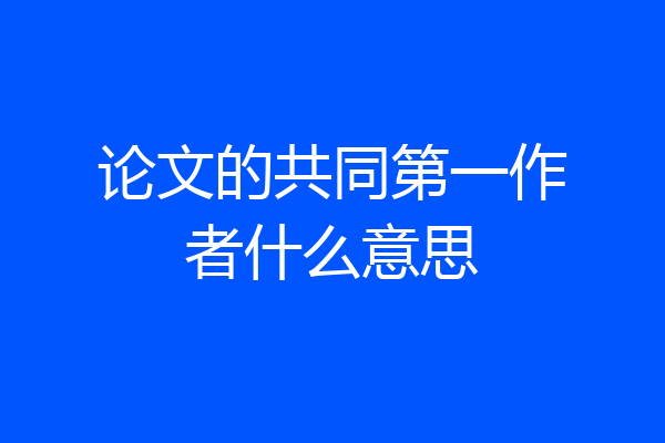 论文的共同第一作者什么意思