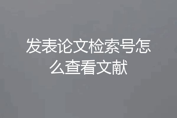 发表论文检索号怎么查看文献