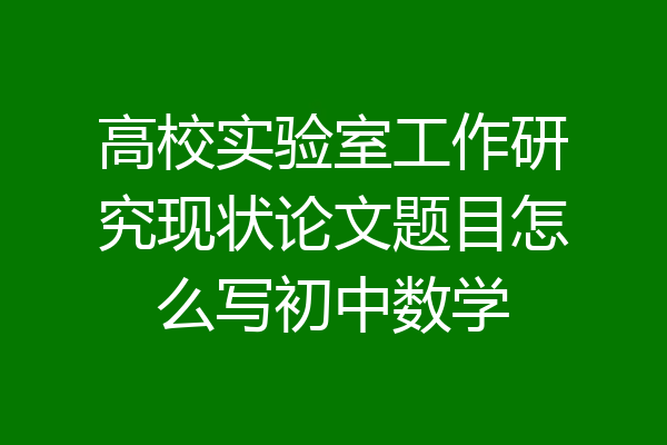高校实验室工作研究现状论文题目怎么写初中数学