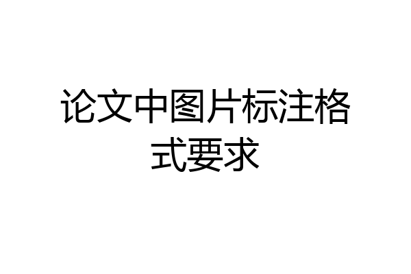 论文中图片标注格式要求
