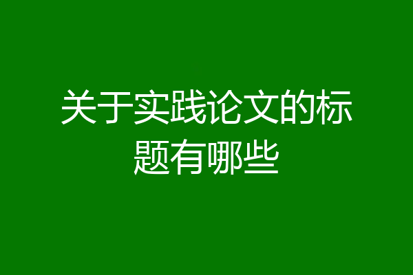 关于实践论文的标题有哪些