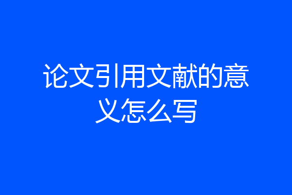 论文引用文献的意义怎么写