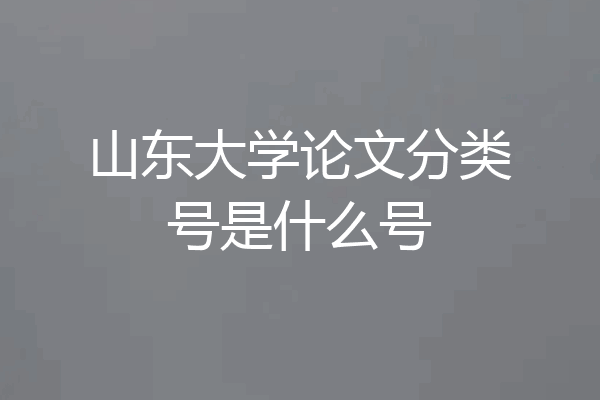 山东大学论文分类号是什么号
