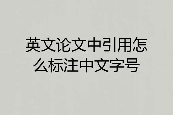 英文论文中引用怎么标注中文字号