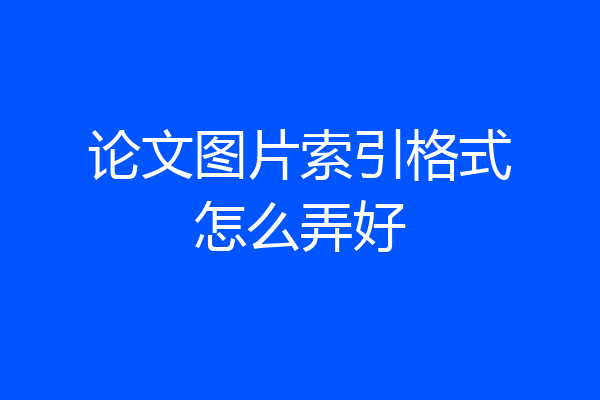 论文图片索引格式怎么弄好