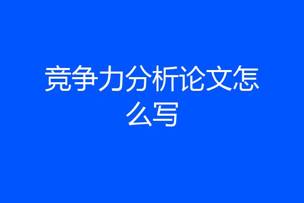 竞争力分析论文怎么写