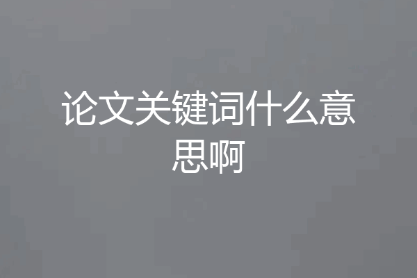 论文关键词什么意思啊