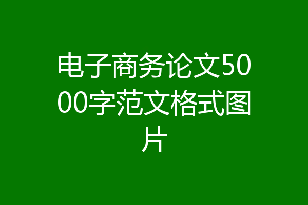 电子商务论文5000字范文格式图片