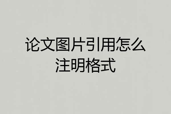 论文图片引用怎么注明格式