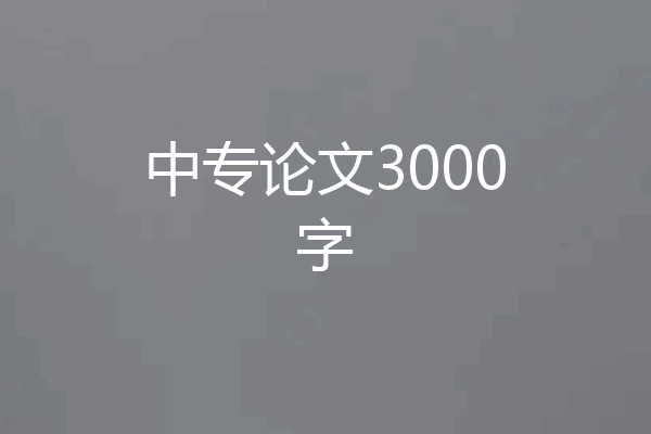 中专论文3000字
