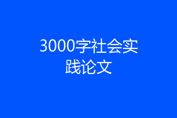 3000字社会实践论文