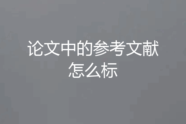 论文中的参考文献怎么标