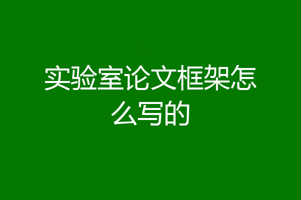 实验室论文框架怎么写的