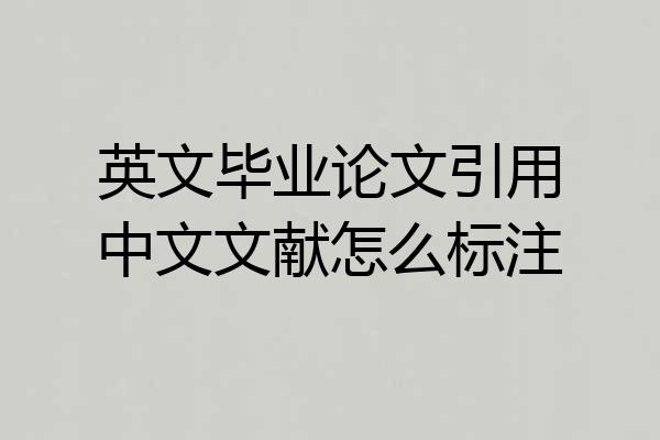 英文毕业论文引用中文文献怎么标注