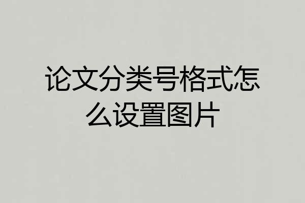 论文分类号格式怎么设置图片