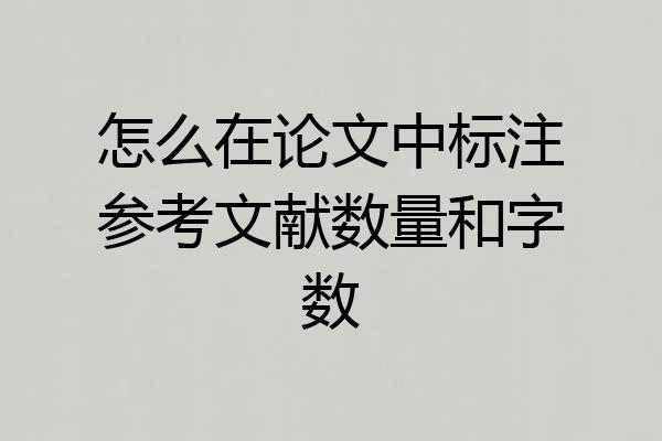 怎么在论文中标注参考文献数量和字数