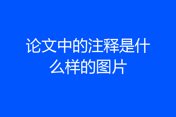 论文中的注释是什么样的图片