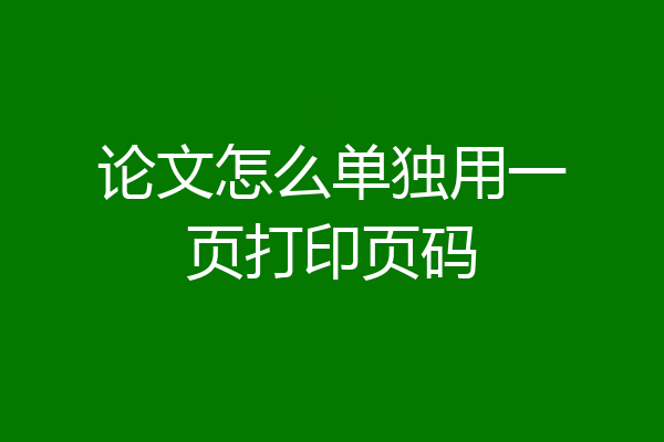 论文怎么单独用一页打印页码