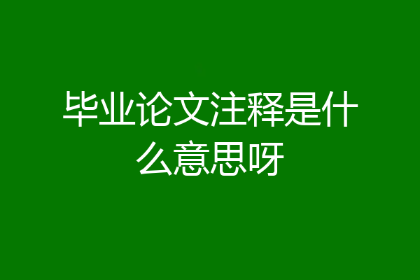 毕业论文注释是什么意思呀