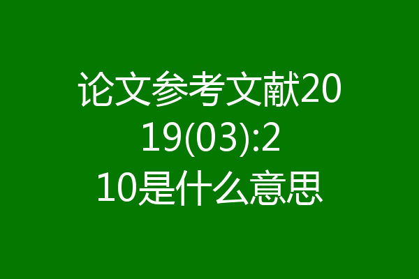 论文参考文献2019(03):210是什么意思
