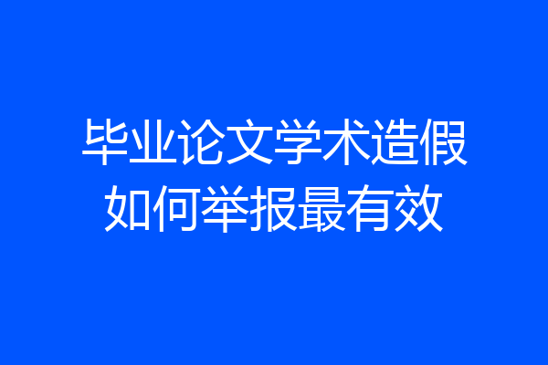毕业论文学术造假如何举报最有效