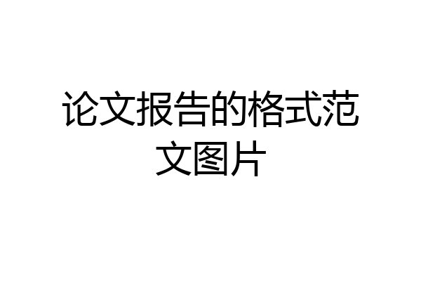 论文报告的格式范文图片