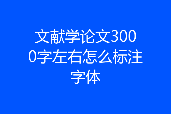 文献学论文3000字左右怎么标注字体