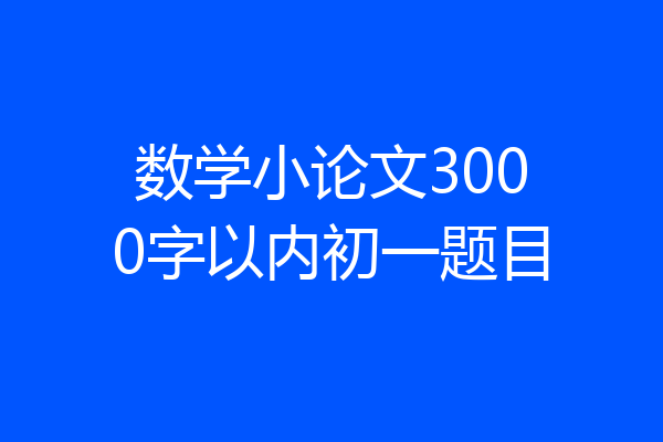 数学小论文3000字以内初一题目
