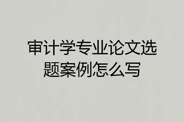 审计学专业论文选题案例怎么写