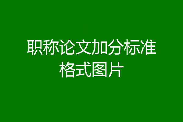 职称论文加分标准格式图片