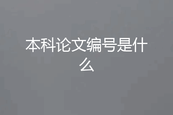 本科论文编号是什么