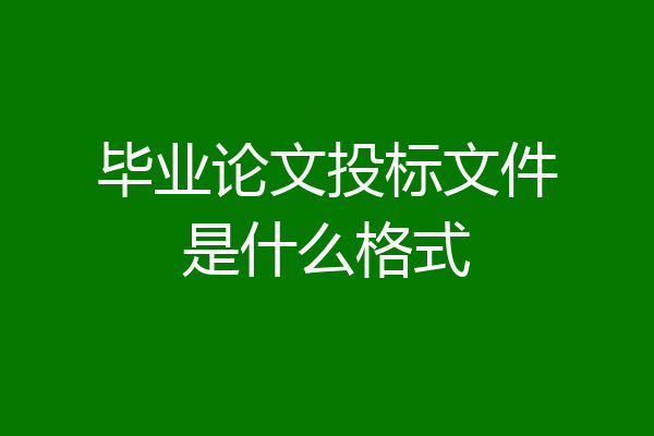 毕业论文投标文件是什么格式