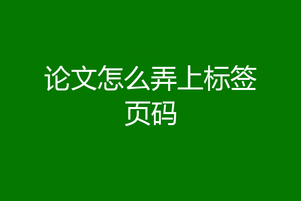 论文怎么弄上标签页码