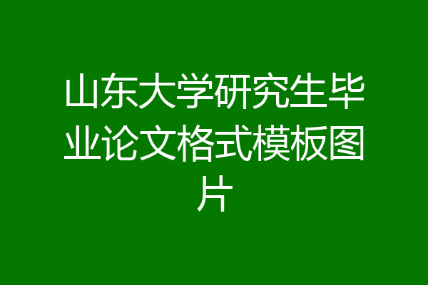 山东大学研究生毕业论文格式模板图片