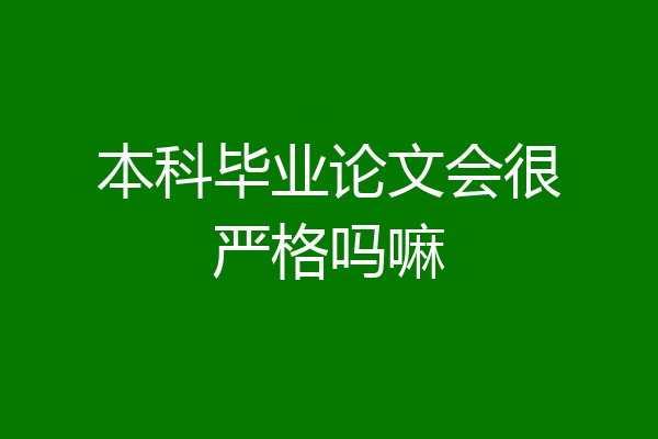 本科毕业论文会很严格吗嘛