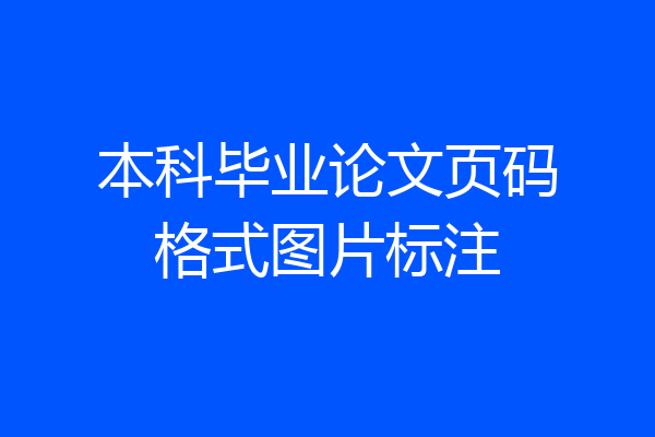 本科毕业论文页码格式图片标注