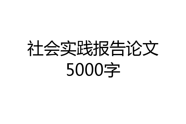 社会实践报告论文5000字